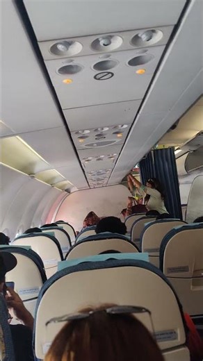 air host healp in plane