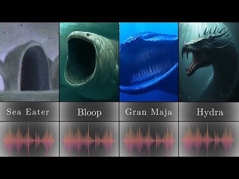 Sea Monster Sounds - The Bloop vs El Gran Maja vs Sea Eater vs Hydra Comparison