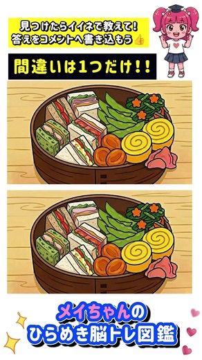 メイちゃんの脳トレ図鑑：お弁当編！1箇所だけ間違いを探してね #間違い探し #シニア #Shorts