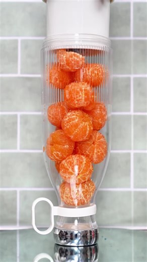 Portable Juicer for Fresh Drinks On the Go