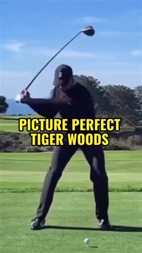 Tiger Woods Driver Swing (Face-On Slow Motion) 😍 Face-on slow motion of Tiger Woods Golf Swing with the driver. What do you notice in this swing… other than complete perfection? #golf #tigerwoods #golfswing #golfer #golflife #golfpro #pgatour | David Leathem Golf Tips