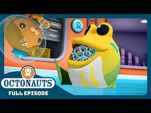 ‪@Octonauts‬ - 🥚 The Jawfish Baby Egg Chase 🐠 | Season 2 | Full Episodes | Cartoons for Kids