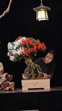 🔥 Azalea Flowers Get a DIY Wooden Pot! 🪴🌺 The Result Is Absolutely Beautiful!