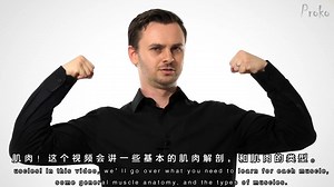 【绘画教程】关于肌肉你应该知道的（proko）（熟肉）