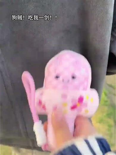 Why do you want to throw away my cherry blossom pink Goujian sword plush toy? Goujian sword soun