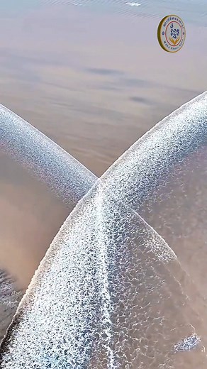 #Amazing | Maha Khmer News