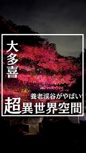 チームラボ養老渓谷 幻想的な異世界空間