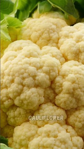 These 13 high-fiber vegetables that will revolutionize your diet! | Micro TV
