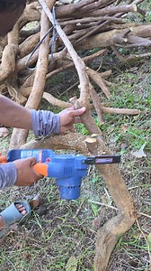 2.7K views · 34 reactions | Good morning kabougies | Blooming Hardinera Rosalinda Mercado | Facebook