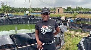 This is one of the best, less expensive fish ponds, but it does an amazing job, just like in the Volta River. Make money from fish farming. | The Ghanaian Farmer