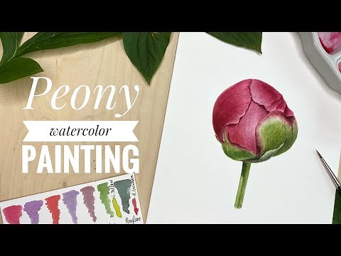 Peony watercolor painting tutorial | Learn to Paint Peony | Step by Step