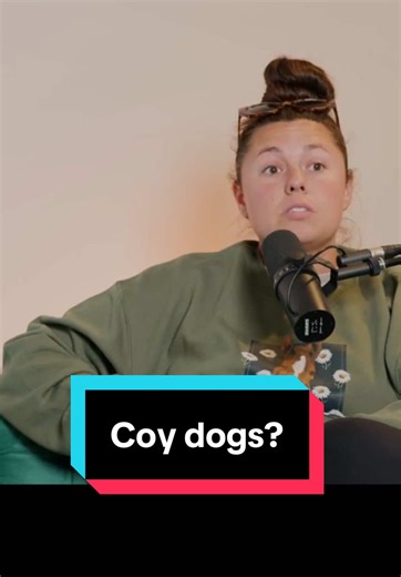 Coy dogs? Watch the newest episode on my YT channel!🐶🐾 | coy dog