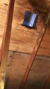 Discover the real value of getting a wildlife inspection done for your home | All Wildlife Removal Inc