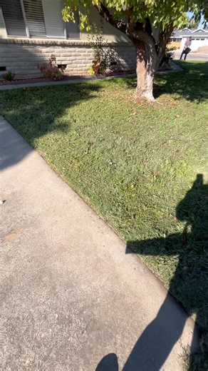 First time cut for this customer #discountlawncare #hondamowers #Stihl #landscaping #hardworkpaysoff | Discount lawn care and junk hauling