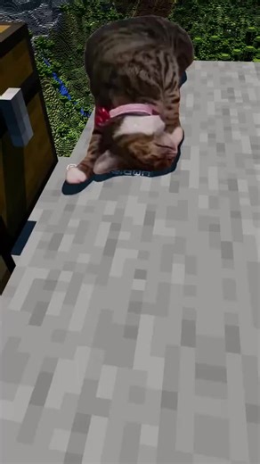 Minecraft Adventures: A Journey Through Blocks
