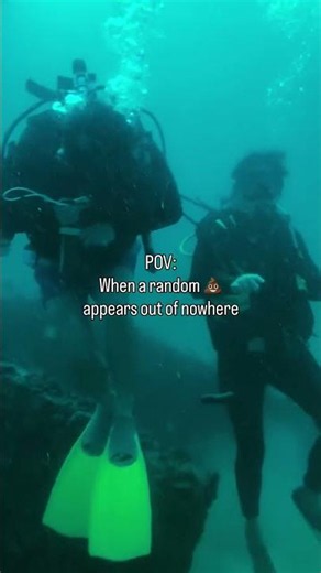 Scuba Divers Panic After Running Into a Floating Mystery Object Under Water! 🌊💩