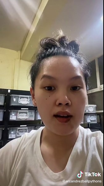 Factors Affecting Ball Python Eggs: Reality of Breeding