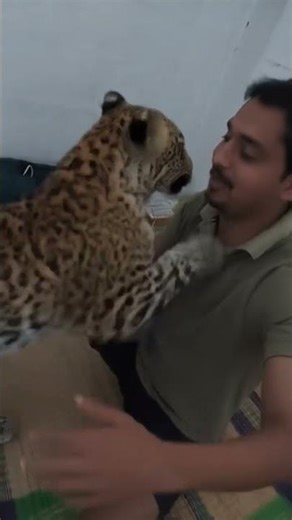 #Tiger#zinda#hai#this#is#a#AI##generated#video#