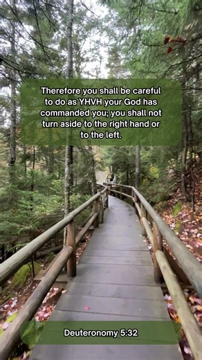 Homeschoolingtorah on Reels