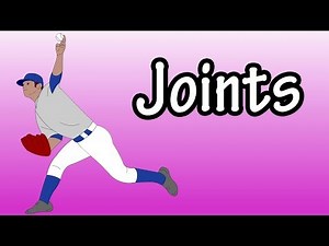 What are Joints and its Types? Video Lecture - Class 6