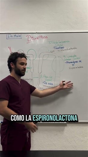 Don't forget the site of action of each diuretic 👨‍⚕️#