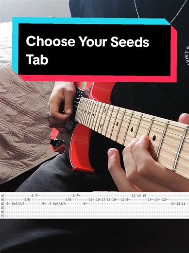 Choose Your Seeds - Guitar Tab Tutorial