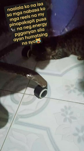mofasa😹 Part 1 | Janah Marie Sy