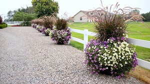 170K views · 4.6K reactions | Self Watering Planters UPDATE  | Garden Answer | Facebook