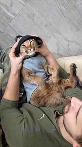 family raised caracal kitten special love #animal #rescue... | Animal Shelter U.S