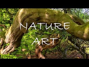 NATURE ART (Teil1/dt.) - Mensch&Natur Bodypaint Camouflage Kunst von Künstler Jörg Düsterwald