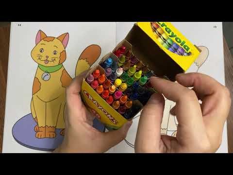 Relax and Color with Me 🎨🫟 Basic Coloring