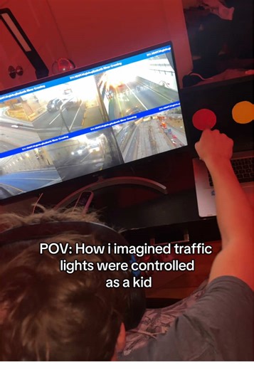 TPEEEEEEEE (@tpeeeeeeeee)’s video of How Do Traffic Lights Work
