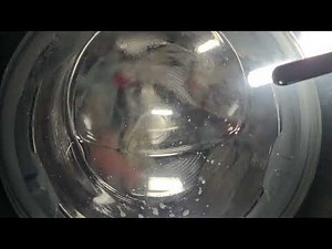 Kenmore Elite 41073 - Sanitize Cycle w/ Accela Wash