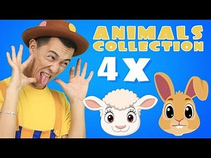 Animals Collection Songs | Tigi Boo Songs for Children | Nursery rhymes