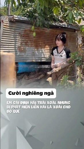 Hái trái xoài thôi mà cũng thấy dễ thương #giaitri #meme #funny ‪@cuoi_nghieng_nga_102‬​