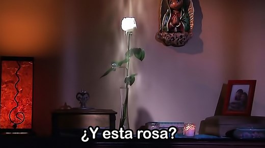 Y Esta Rosa? | Know Your Meme
