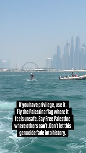 If you have privilege, use it. Fly the Palestine flag where it feels unsafe. Say Free Palestine where others can’t. Don’t let this genocide fade into history. | Yusuf Omar