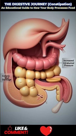 #MedicalEducation #Gastroenterology #AnatomyEducation