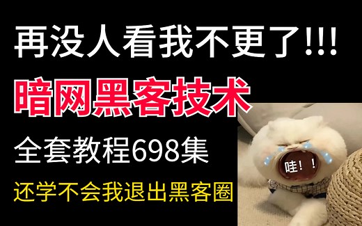 内容敏感，被下架99次，698集黑客网络安全教程，保姆级手把手教学，全程实战干货(零基础入门网络安全/Web安全/DDos攻防）