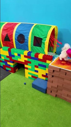 Paw Patrol Wiggles and Waffles Race through the Course to Lego Lookout Tower