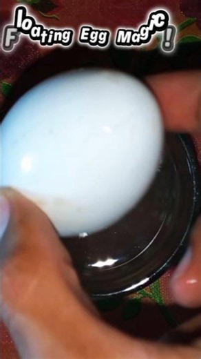 Floating Egg in Water! 🥚 Amazing Science Experiment!
