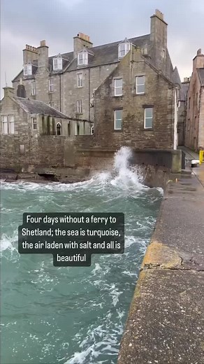 ShetlandwithLaurie on TikTok