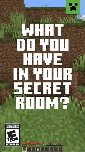 WHAT ARE YOU HIDING IN MINECRAFT?