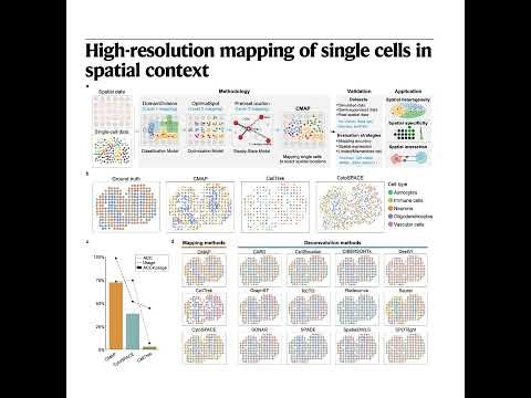 527-CMAP: Spatial Mapping of Single-Cell Transcriptomes