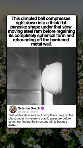 PHYSICS OF A GOLF BALL