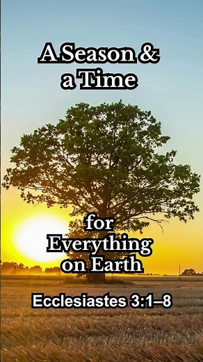 God’s Perfect Timing: A Season for Everything (Ecclesiastes 3:1–8)