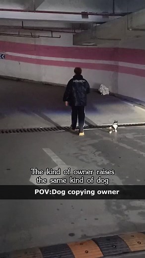 You know they say the dogs look like their owner,it's true🤣💕💕 #dog#funny#funnyanimals#funnypets#animals#dogsofttiktok #pet #foryou #longervideos#usa