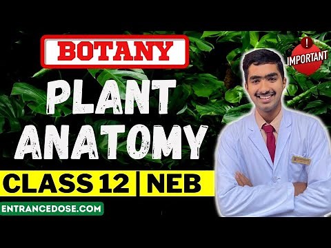 Lecture: 01 Plant Anatomy | Class 12 Biology | Plant Physiology | NEB DOSE