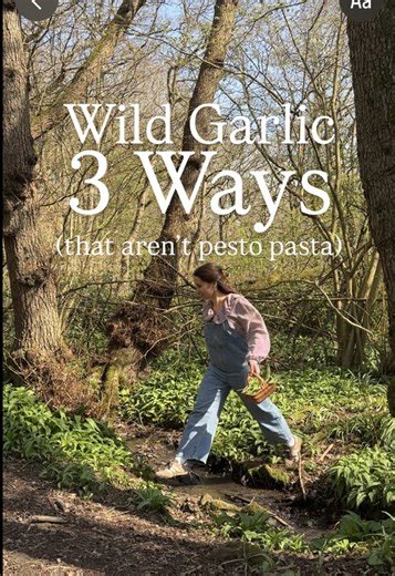 Versatile Wild Garlic Recipes for Every Dish