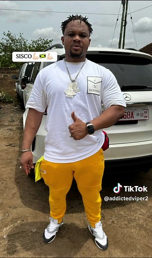 Understanding SISCO Insurance Coverage in Jamaica